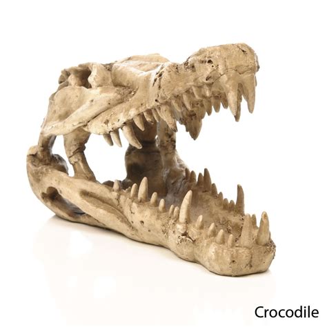 Penn plax prism nano aquarium kit in black (4) $42.99 was $75.99. Skull decor, Megafauna, Aquarium ornaments