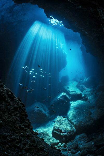 Underwater Photos Underwater World Underwater Photography Underwater