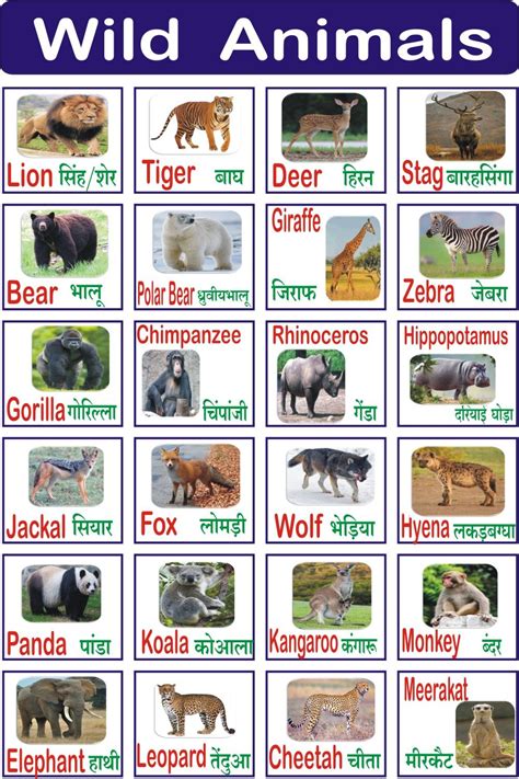 Learning The Name Of The Animals Artofit