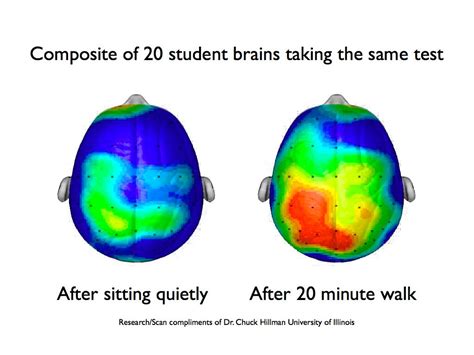 What A Workout Does To Your Brain And Why Difficult Exercises Make