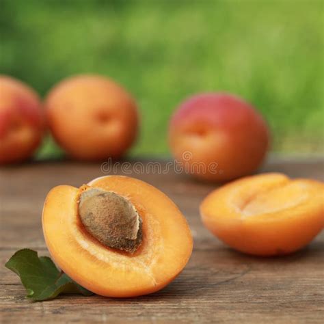 Fresh Apricots Stock Image Image Of Garden Leaf Healthy 27944137