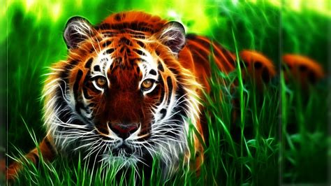 Cool 3d Desktop Wallpaper Tiger Wallpapersafari