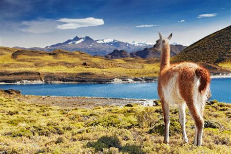 📅 The Best And Worst Times To Visit Patagonia In 2023