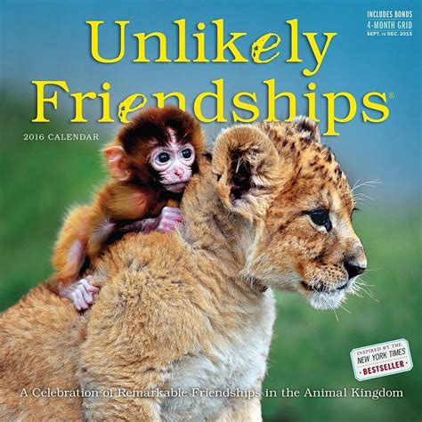 Unlikely Friendships Wall Calendar Unlikely Animal Friends Animal