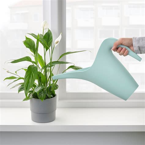 Ikea Ps 2002 Watering Can Light Turquoise 12 L Ikea