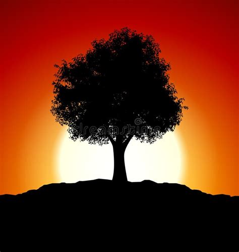 Sunset With Tree Silhouette Stock Illustration Illustration Of Nature