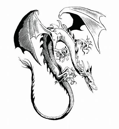 Dragon Coloring Drawings Dragons Realistic Awesome Google