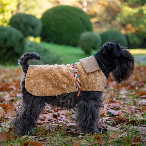 Custom Made Reversible Faux Fur Dog Coat Colored Leather Belt