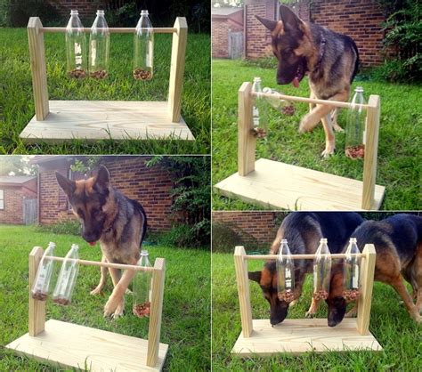 Diy Spinning Plastic Bottle Dog Treat Game Home Design Garden