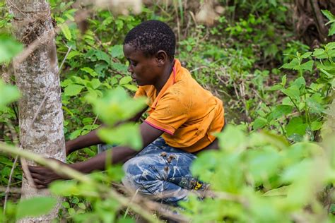 Taking The Toilet Challenge Resolving Open Defecation Continues To Confound The World Gospel