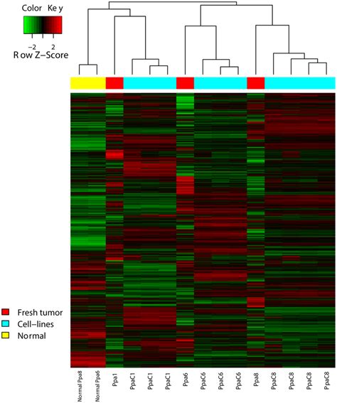 Check spelling or type a new query. Morphology of the cell lines. A: Phase contrast pictures ...