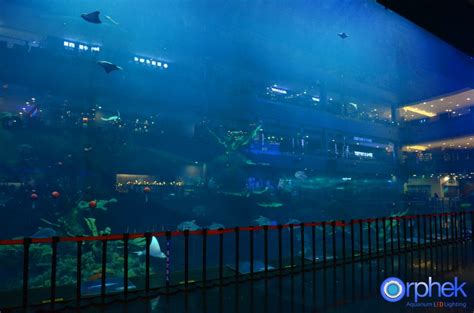 Chengdus Cube Oceanarium Sets A Record