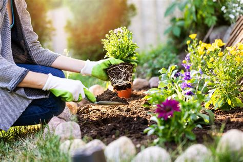 Is Your Gardening Affecting Your Hvac Performance Hansberger