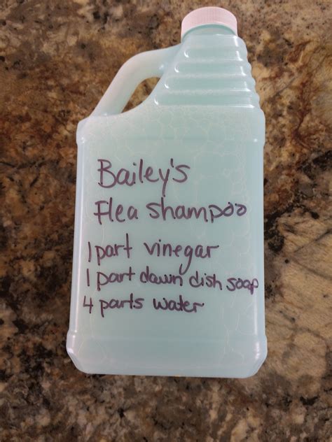 Homemade Flea Shampoo Mix Together And Put In An Old Shampoo Or