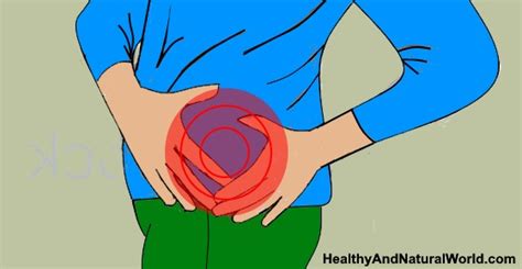 The testes are oval organs about the size of very large olives that lie in the scrotum, secured at either end by a structure. Left Side Pain Above Hip: Symptoms, Causes and Treatments