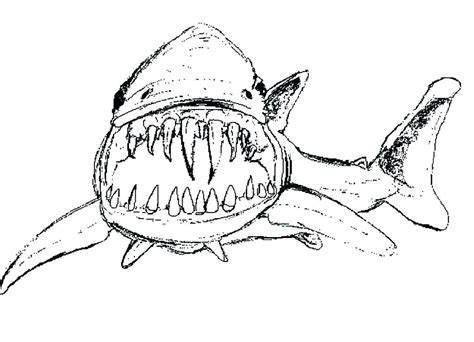 Jaws Coloring Pages at GetColorings.com | Free printable colorings pages to print and color