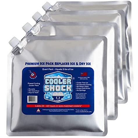 Top 10 Best Ice Packs For Coolers In 2022 Normal Park