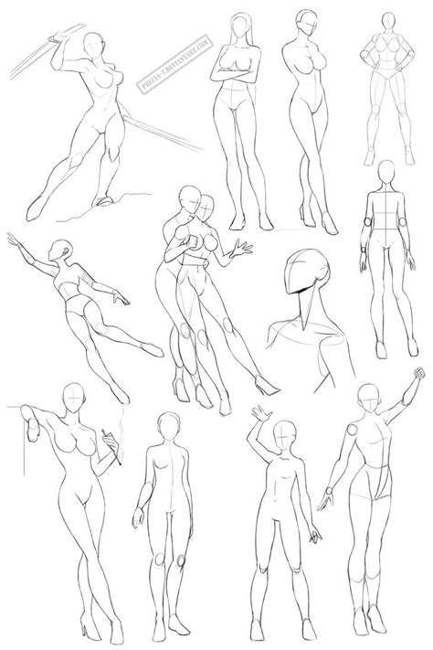 Female Anatomy 2 By Precia T On Deviantart Drawing Poses Figure Drawing Drawings