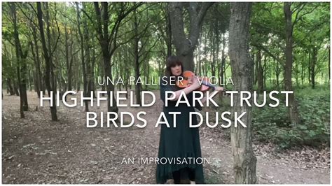 Birds At Dusk Part 1 Improvisation Under Birdsong Featuring Una