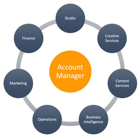 salesduo full service amazon agency — account management
