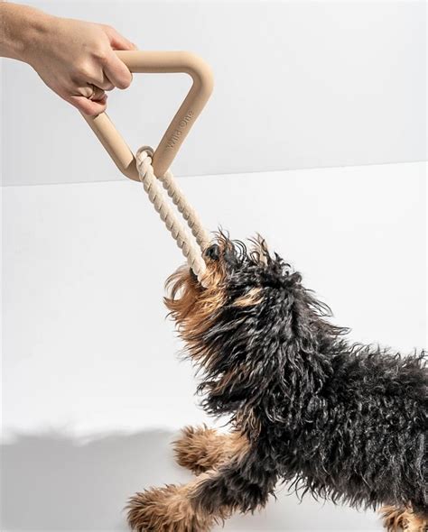 The Best Tug Toys For Dogs Cuteness