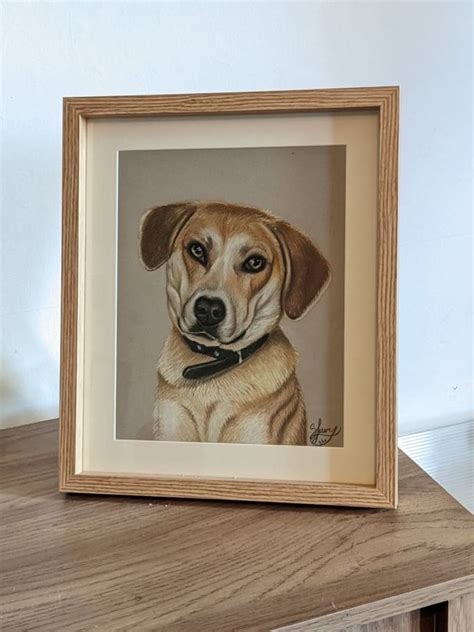 Turn Your Pet Into Art By Shannonfuery Fiverr