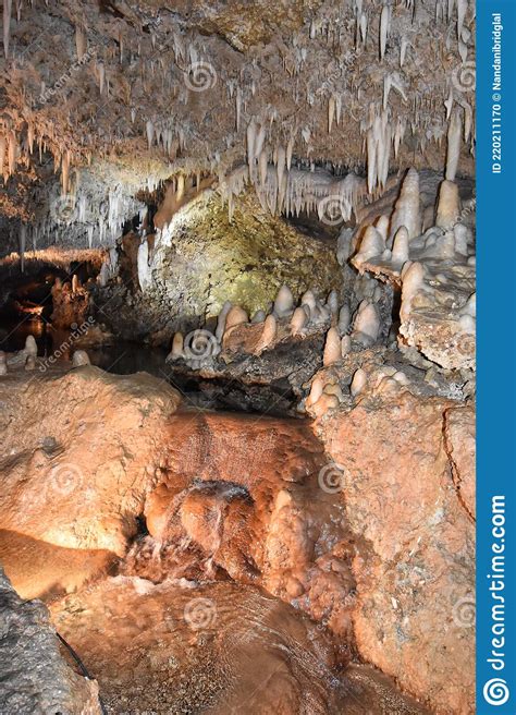 Harrison S Cave Barbados Stock Photo Image Of Trunk 220211170