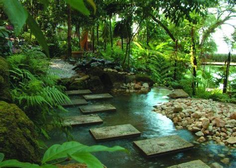Jungle Garden Design Ideas Hawk Haven