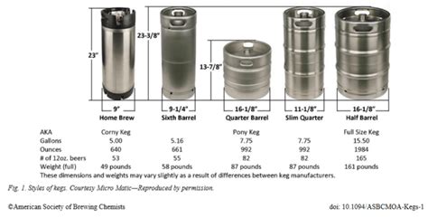 How Many Beers In A Keg All You Need To Know About Keg
