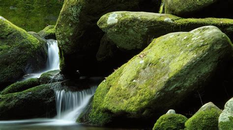 苔の岩 世界で最も美しい滝の風景写真 1920x1080ダウンロード
