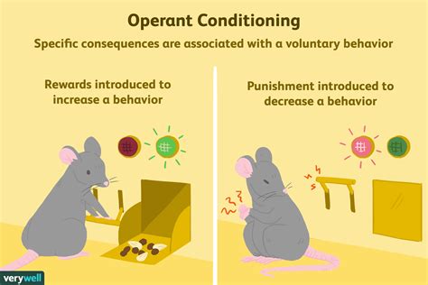 Describe The Process Of Operant Conditioning