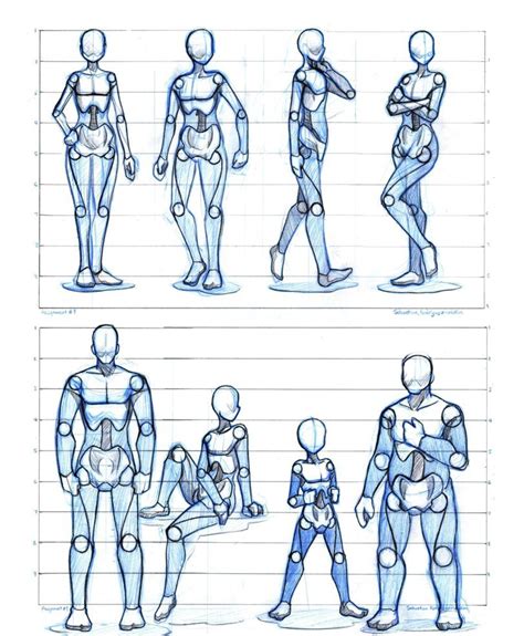 Basic Proportion Studies Anime Poses Reference Human Drawing Sketch Boy