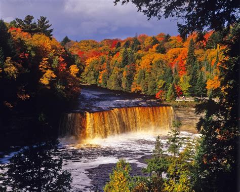 midwest michigan best fall foliage in the us fall foliage road trips