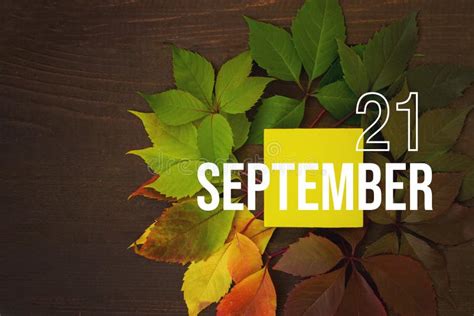 September 21st Day 21 Of Month Calendar Date Autumn Leaves