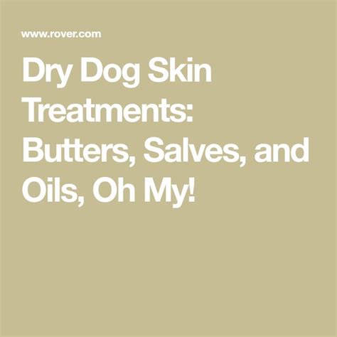 Our Favorite Treatments For Dry Dog Skin Butters Salves And Oils Oh