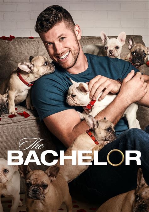 the bachelor season 10 watch full episodes streaming online
