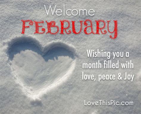 20 Beautiful February Quotes To Celebrate The New Month Hello