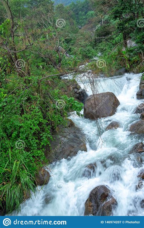 Mountain River Stream Waterfall Fresh Forest Landscape