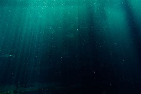 Underwater Photography Of Deep Sea · Free Stock Photo