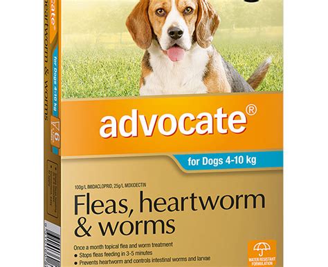 Advocate Flea And Worm Treatment For Dogs 4 10kg 6pk 9310160805898 Ebay