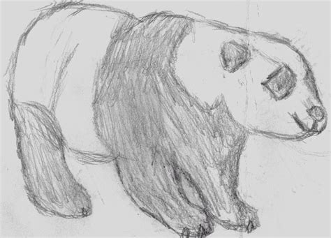 A Cute Panda Charcoal Drawing Animals Cool Drawings Pencil Drawings