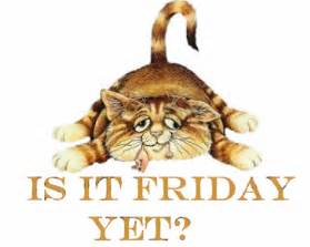 is it friday yet | Friday cat, Friday images, Friday pictures