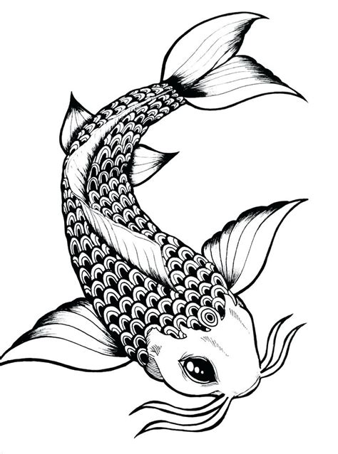 Koi Fish Tattoo Drawing Design Free Download On Clipartmag