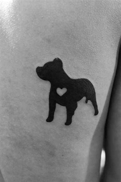 50 Pitbull Tattoo Designs For Men Dog Ink Ideas Video Video In