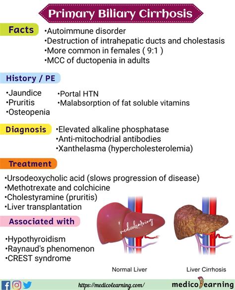 Primary Biliary Cirrhosis MedicoLearning