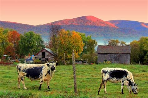 Vermont Fall Foliage Drives Vermont Begins Here