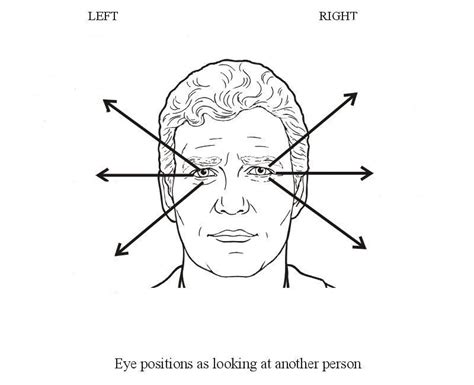 Interpreting Eye Movements Diagram Quizlet