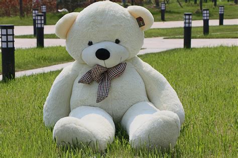 A Perfect 78 White Teddy Bear That Will Melt Your Heart