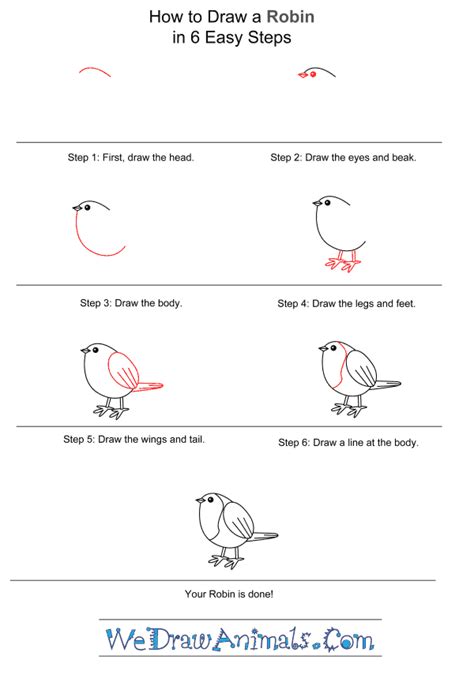 How To Draw A Simple Robin For Kids