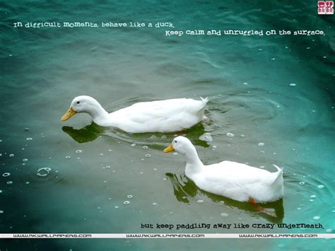 Motivational wallpaper on Difficult :In Difficult moment Behave like a duck .. | Dont Give Up World